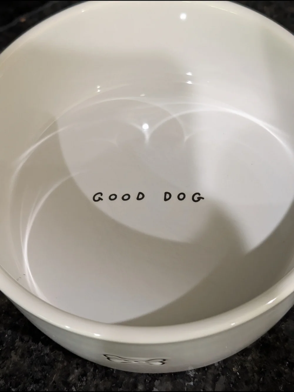 Choice Of One Dog Bowl
